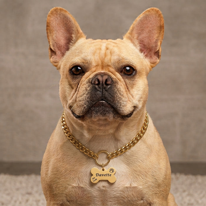 Cuban Link Dog Necklace: Chain Dog Collar Gold Silver Lightweight Optional Engraved ID Pendant - DCN001-4