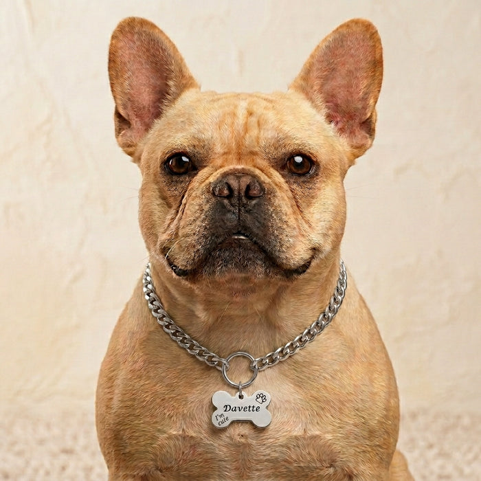 Cuban Link Dog Necklace: Chain Dog Collar Gold Silver Lightweight Optional Engraved ID Pendant - DCN001-4