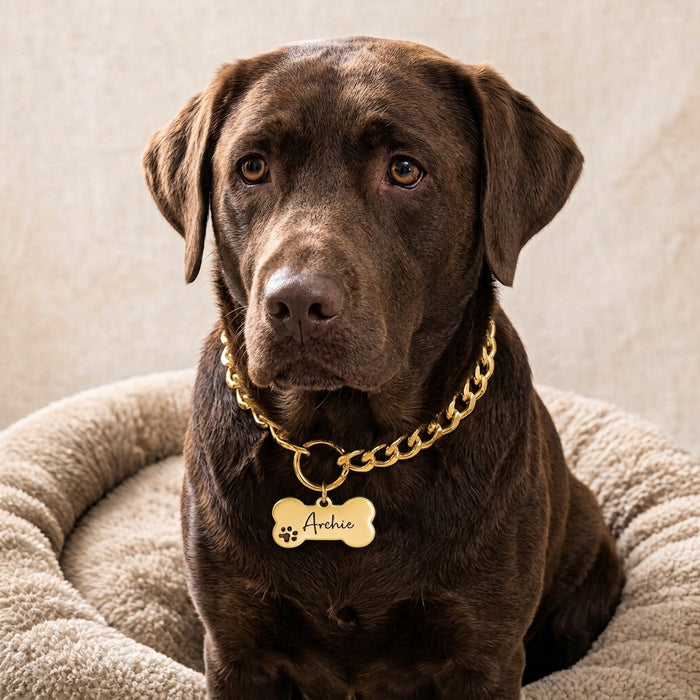 Personalised Dog Chain Collar: Lightweight Silver Gold Pet Necklace Custom Size Optional Bone ID Tag S-XL - DCN73