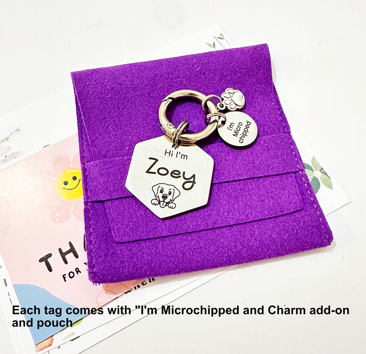 Tiny Dog Tag for Small Dog Deep Engraved in Stainless Steel in Gold Silver Rose Gold, Personalised Puppy and Cat Dainty Pet ID Tag, Dog Gift - DT099