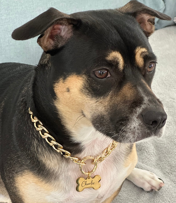 Lightweight Cuban Chain Link Dog Collar Necklace, Personalized Dog Chain Collar, Custom Dog Necklace for Dog in Silver and Gold, Dog ID Tag - DCN64