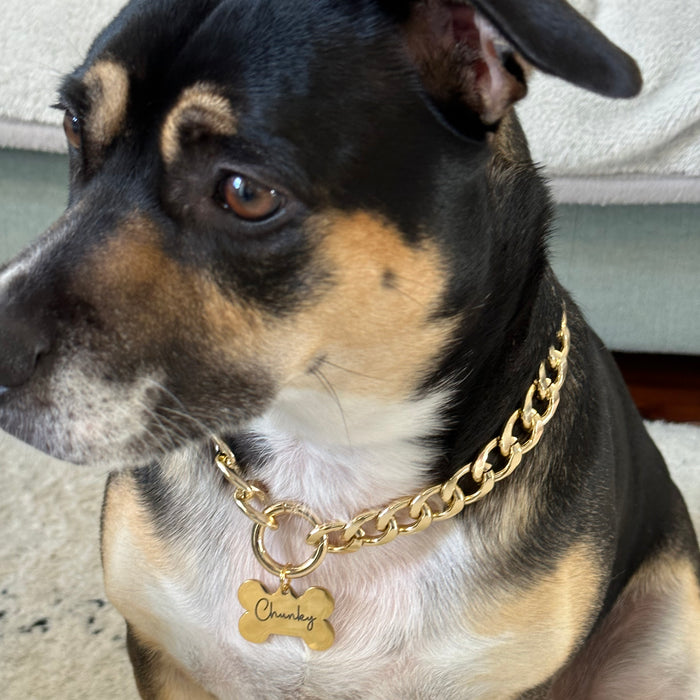 Cuban Chain Link Dog Collar Necklace Lightweight, Personalized Dog Chain Collar, Custom Dog Necklace for Dog, Gift for Dog Owner, Dog ID Tag - DCN63