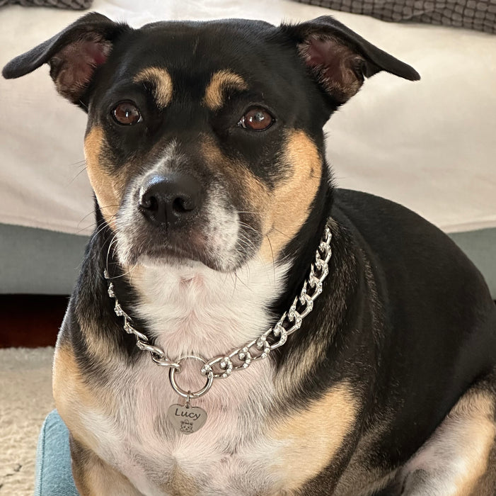 Custom Lightweight Chain Link Dog Collar Necklace for Dog - Pet Necklace - Gift to Dog Owner - DCN009-2