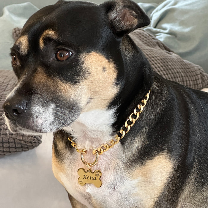 Custom pet necklace australia hotsell