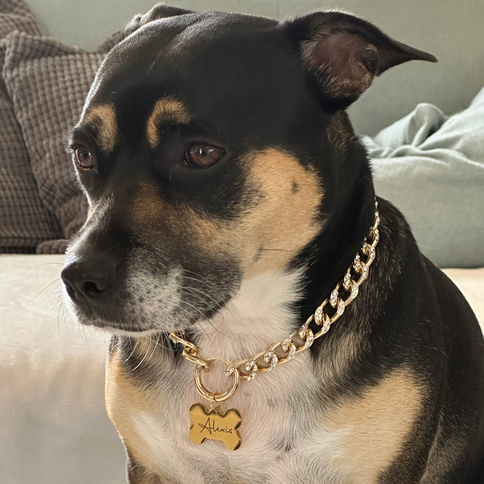 Lightweight Dog Chain Collar Necklace - Dog Necklace for Dog - Gift for Dog Mum or Dad - DCN033