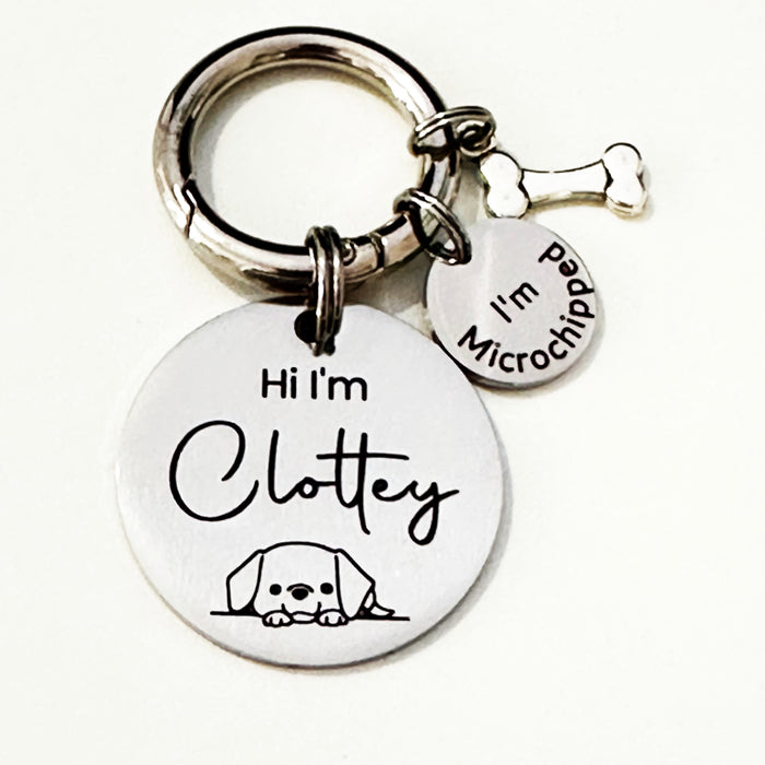 Dog Tags - Personalised Engraved Dog Tags Round "I think I'm lost!" with FONT Selection - DT003-1