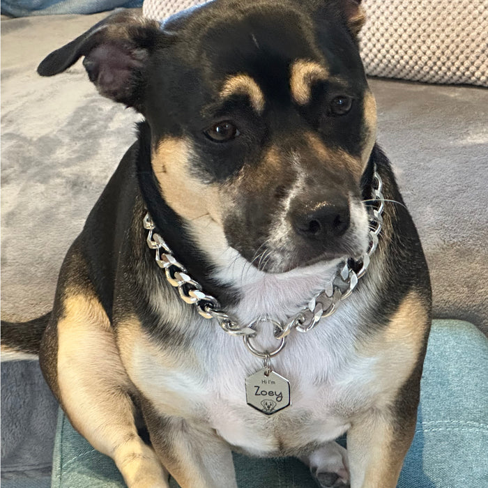 Lightweight Cuban Chain Link Dog CollarNecklace for Pet Non-tarnish Personalized Australia - Gift for Dog Owner - DCN029