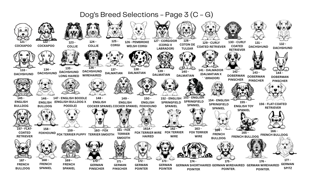 Dog Tag Customised Deep Engraved Stainless Steel with Dog’s Breed Photo Round – I think I’m Lost - DT026