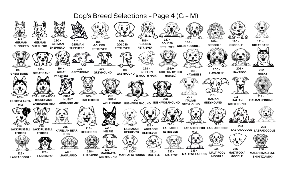 Dog Tag Customised Deep Engraved Stainless Steel with Dog’s Breed Photo Round – I think I’m Lost - DT026