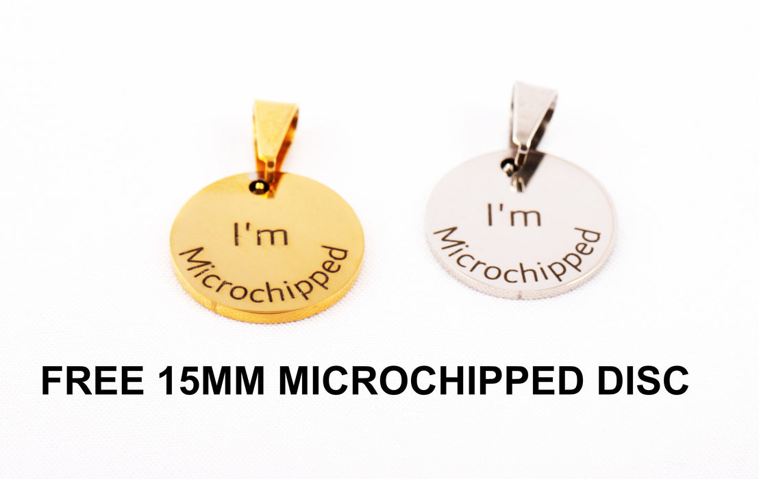 Custom Holloween Dog Tag Engraved, Personalized Spooky Dog ID Tag, Stainless Steel Dog Tag, Cute Halloween Puppy Pet Tags, Halloween Gift