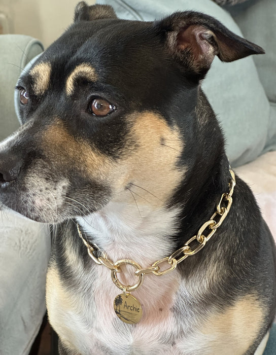 Lightweight Dog Chain Collar for Small to Large Dog, Personalized Dog Necklace for Dogs, Dog Gift, Fashion Dog Necklace, Cute Pet Necklace