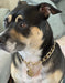 Lightweight Dog Chain Collar for Small to Large Dog, Personalized Dog Necklace for Dogs, Dog Gift, Fashion Dog Necklace, Cute Pet Necklace