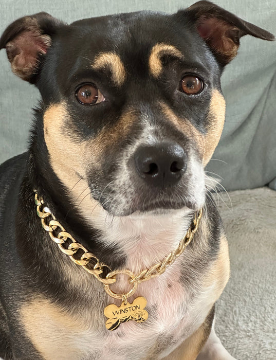 Lightweight Cuban Chain Dog Collar Necklace, Choker-style Dog Collar, Personalized Dog Necklace with Dog Tag, Custom Puppy Chain Collar