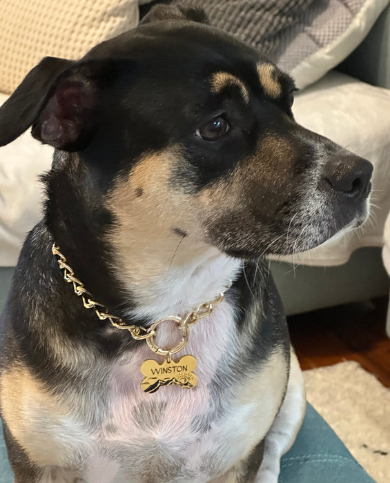 Lightweight Dog Chain Collar Necklace Gold Silver, Personalised Dog Link Chain Necklace, Metal Dog Collar Necklace, Custom Gift for Dog Mum