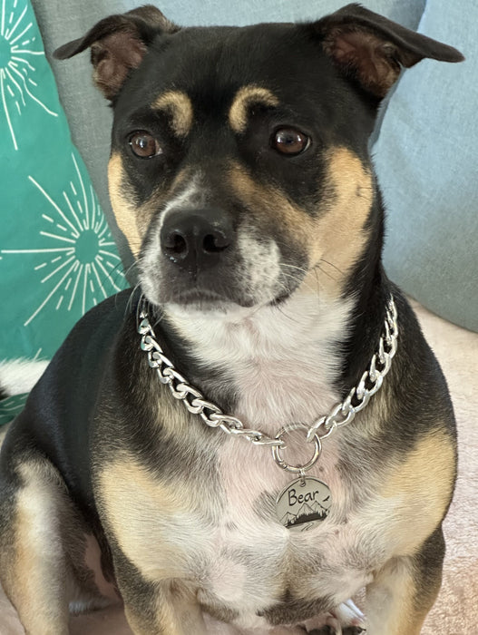 Cute Dog Necklace for Dog, Lightweight Personalised Dog Chain Collar with Dog Tag, Custom Chain Link Dog Collar in Gold and Silver, Dog Gift