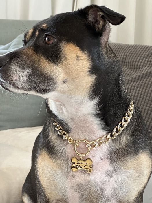 Personalized Dog Necklace for Dogs, Custom Dog Chain Collar, Gold