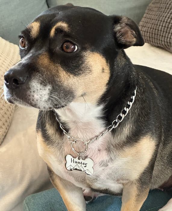 Fashion Dog Chain Collar Necklace Lightweight, Personalized Cuban Chain Dog Necklace Silver or Gold, Dog Necklace for Dogs, Custom Dog Gift