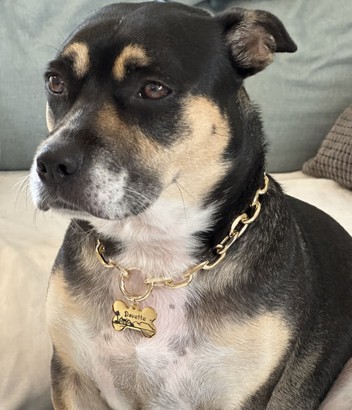 Lightweight Dog Chain Collar Necklace, Personalized Link Chain Dog Collar, Dog Necklace with Dog Tag, Gift for Dog Mum, Fashion Pet Necklace