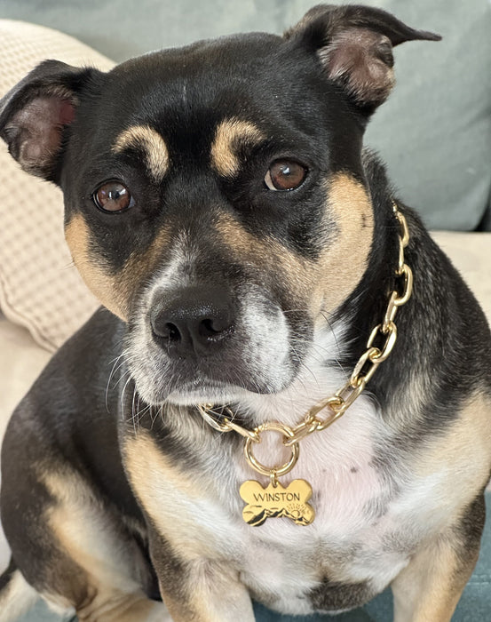 Lightweight Dog Necklace for Dog, Personalised Dog Chain Collar Necklace, Link Chain Dog Collar, Metal Dog Collar Necklace, Custom Dogs Gift