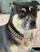 Lightweight Dog Chain Collar, Personalized Dog Necklace for Dog, Dog Gift, Fashion Dog Necklace, Cute Pet Necklace for Small to Large Dog
