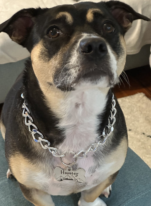 Personalized Dog Chain Collar Necklace Lightweight, Custom Small to Large Dog Cuban Chain Necklace in Silver or Gold, Chain Link Pet Collar