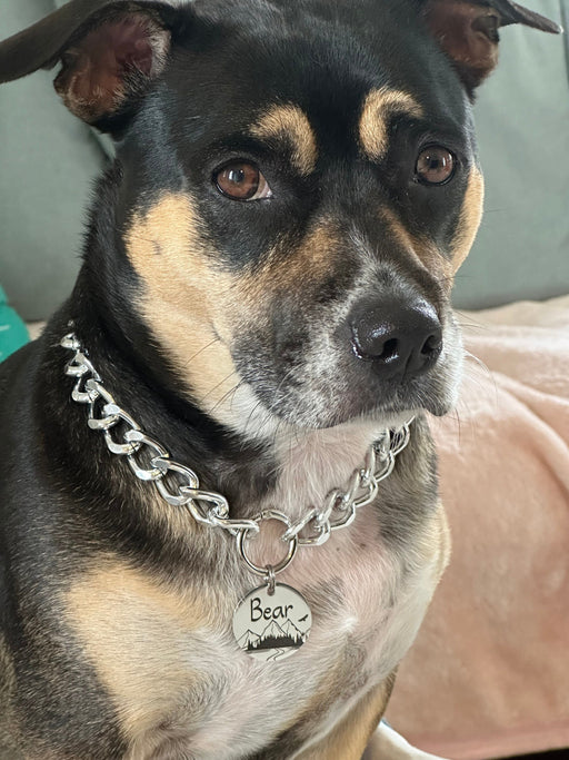 Personalized Dog Necklace for Dog in Silver & Gold, Lightweight Custom Dog Chain Collar with Dog Tag, Chain Link Dog Collar, Gift for Dog