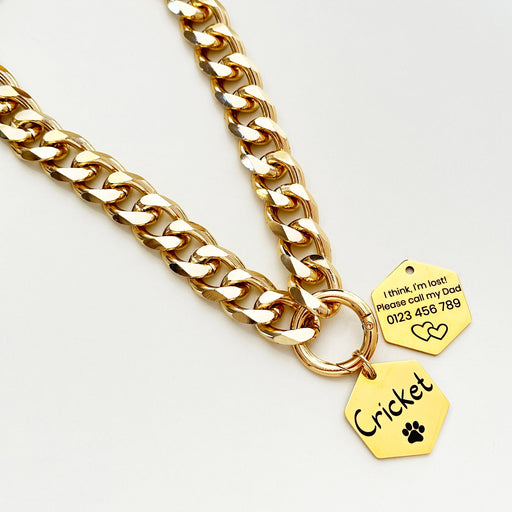 Dog Chain Link Collar Lightweight, Personalized Thick Curb Chain Dog Necklace, Gift for Dog Mom, Custom Chain Pet Necklace Gold Silver