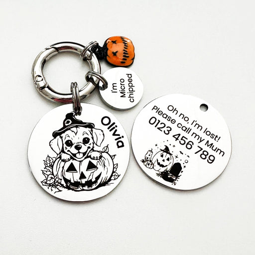 Pumpkin dog tag best sale