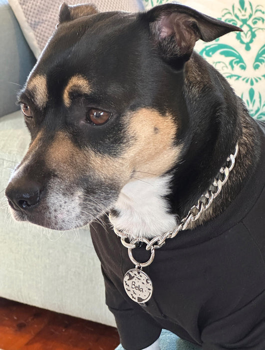 Custom Holloween Dog Tag Engraved, Personalized Spooky Dog ID Tag, Stainless Steel Dog Tag, Cute Halloween Puppy Pet Tags, Halloween Gift