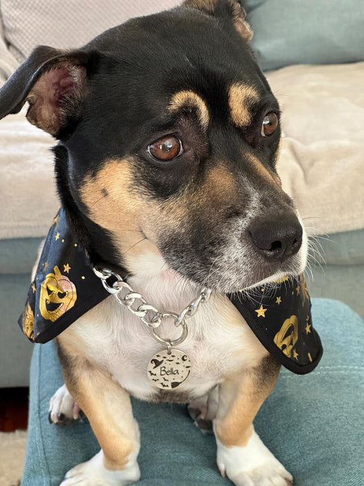 Custom Holloween Dog Tag Engraved, Personalized Spooky Dog ID Tag, Stainless Steel Dog Tag, Cute Halloween Puppy Pet Tags, Halloween Gift