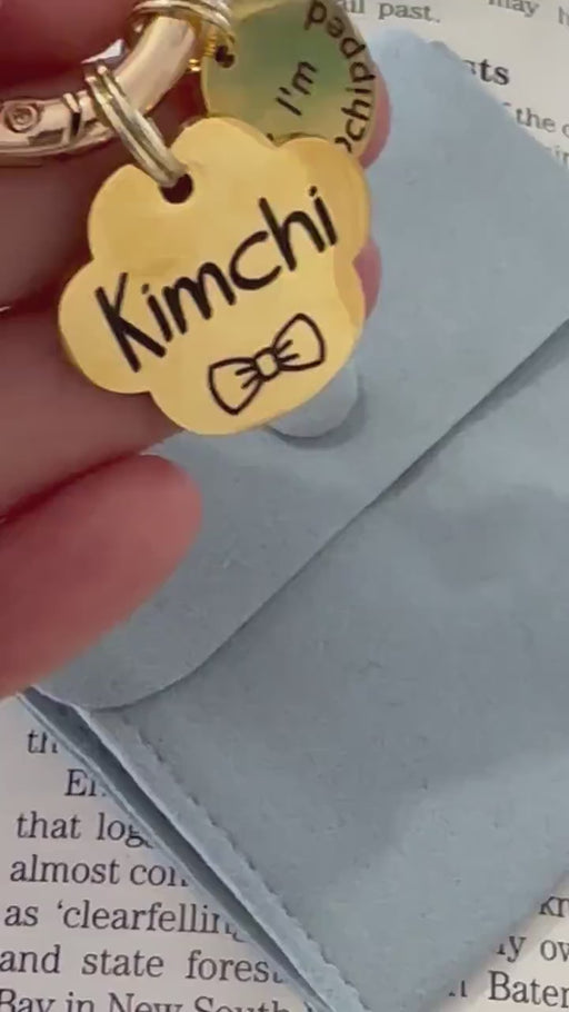 Engraved Dog Name Tag with Microchipped Add-on, Personalised Dog Name Tag in Stainless Steel, Pet Name Plate for Collar, Small Dog Tag