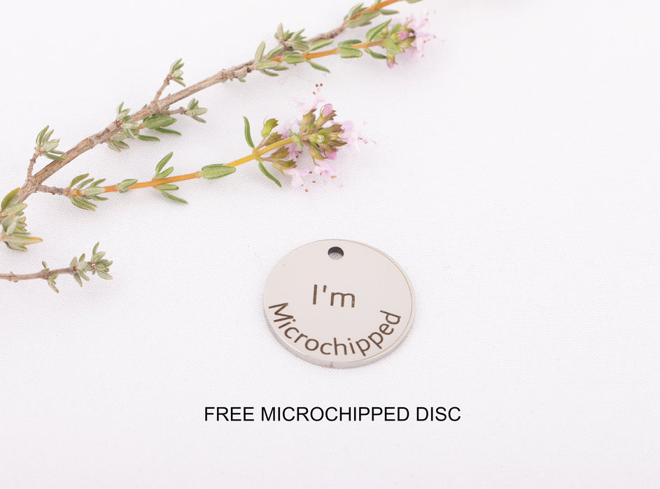 Dog Tag, Personalised Dog Tag, Dog Tag Engraved, Dog Tag Stainless Steel, Dog Tags Australia, Pet Name Tag, Dog Name Tag, Dog Name Plate