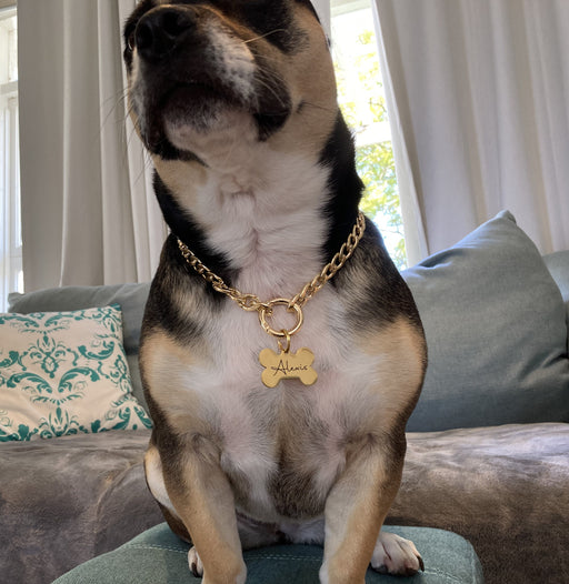 Lightweight Cuban Link Dog Necklace, Dog Necklace for Dog, Chain Dog Collar Gold, Jewellry for Dog, Gift for Dog Owner, Dog Tag with Chain