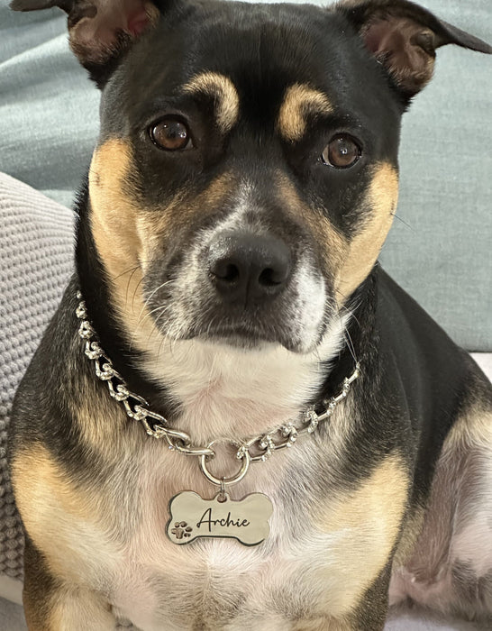 Lightweight Cuban Chain Link Dog Necklace Collar, Chain Dog Collar, Personalized Dog Necklace Silver, Custom Bone Shape Tag with Collar