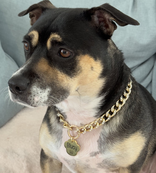 Custom chain outlet dog collars