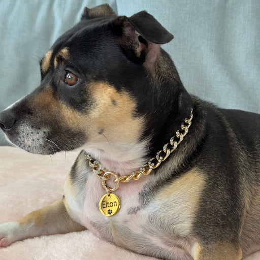 Personalized Cuban Chain Link Dog Collar, Lighweight Dog Necklace for Dog, Chain Dog Collar Gold, Pet Jewelry, Cute Fashion Necklace for Pet