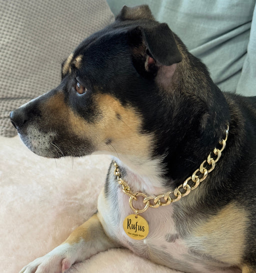 Dog chain outlet collar necklace