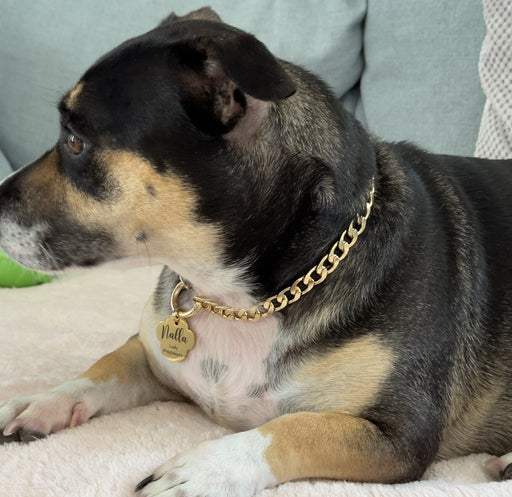 SUPER CHAIN COMBO OF(MEDIUM) Dog Choke Chain 2 Layer Necklace, Diamond Cut GOLD  Dog Chain 160 cm Dog Chain Leash Price in India - Buy SUPER CHAIN COMBO  OF(MEDIUM) Dog Choke Chain